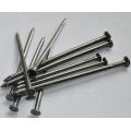 Hochwertige China Supplier Common Round Nails